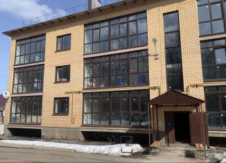 Квартира на продажу свободная планировка, 53 м2, село Михайловка, Каштановая улица, 58