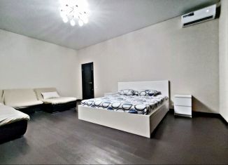 Аренда 1-комнатной квартиры, 44 м2, Самарская область, улица Академика Платонова, 10к6