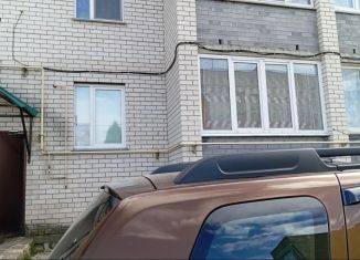 Продаю однокомнатную квартиру, 33 м2, Нижегородская область, Коммунистическая улица, 176