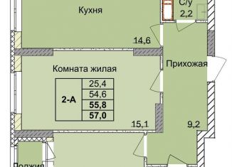 Продается двухкомнатная квартира, 55.8 м2, Нижегородская область, 1-я Оранжерейная улица, 16