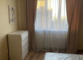 Сдам в аренду однокомнатную квартиру, 33 м2, Санкт-Петербург, улица Фёдора Абрамова