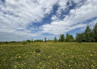 Продаю земельный участок, 15 сот., деревня Борщевщина