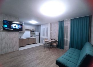 Квартира в аренду студия, 35 м2, Омск, Осоавиахимовская улица, 185к3, Центральный округ