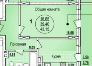 1-ком. квартира на продажу, 39.3 м2, Новосибирская область, улица Писарева, 42