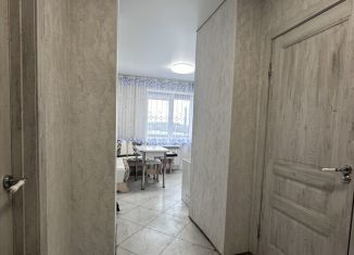 Аренда 1-комнатной квартиры, 38 м2, Новосибирская область, Юбилейный проспект, 7А