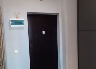 Квартира в аренду студия, 45 м2, Иркутск, улица Карла Либкнехта, 201, ЖК Вдохновение