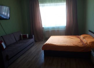Аренда 1-комнатной квартиры, 54 м2, Белгородская область, микрорайон Степной, 24