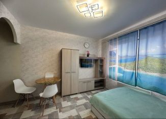 Сдаю квартиру студию, 20 м2, Реж, улица Павлика Морозова, 52/1