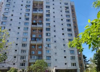 Продажа 2-комнатной квартиры, 52 м2, Москва, Салтыковская улица, 37к3, район Новокосино