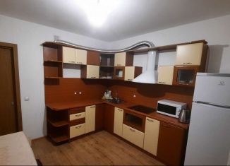 Сдается 2-комнатная квартира, 55 м2, Колпино, улица Севастьянова, 28к2