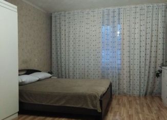 Сдается в аренду 1-ком. квартира, 40 м2, Республика Башкортостан, улица Калинина, 102