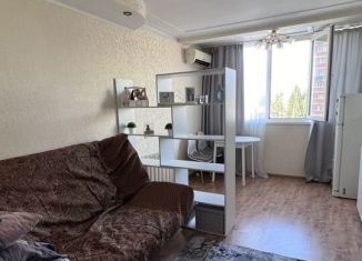 Квартира в аренду студия, 19 м2, Краснодарский край, улица Чебрикова, 40