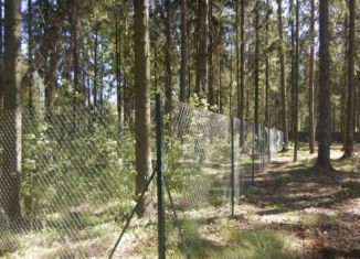 Продажа земельного участка, 12 сот., посёлок Лисий Нос, Лесная улица