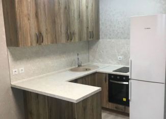 Сдаю квартиру студию, 22 м2, Тюмень, улица Тимофея Чаркова, 28, ЖК Новый Мыс 3.0