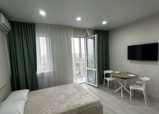 Квартира в аренду студия, 25 м2, Краснодар, Российская улица, 257/7, Прикубанский округ
