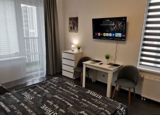 Сдам в аренду квартиру студию, 27 м2, Санкт-Петербург, Верхне-Каменская улица, 11к1, муниципальный округ Коломяги