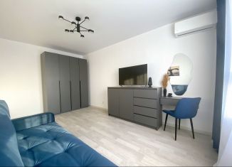 Сдается в аренду 1-ком. квартира, 35 м2, Ростов-на-Дону, проспект Солженицына, 13/2с1, ЖК Пятый Элемент