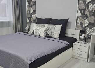 Сдача в аренду квартиры студии, 25 м2, Тихвин, Знаменская улица, 11