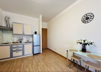 Сдается в аренду квартира студия, 24.3 м2, Санкт-Петербург, улица Адмирала Трибуца, 5, Красносельский район