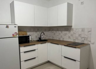 Сдам в аренду квартиру студию, 24.5 м2, Екатеринбург, Латвийская улица, 58/3, метро Ботаническая
