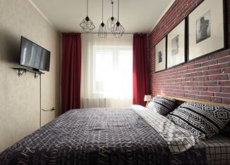 Сдам в аренду квартиру студию, 26 м2, Мурино, Петровский бульвар