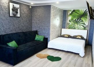 Сдам в аренду 1-ком. квартиру, 42 м2, Новомосковск, улица Куйбышева, 17А