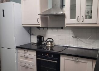Сдача в аренду 1-ком. квартиры, 42.3 м2, Нижний Новгород, улица Мичурина, 1