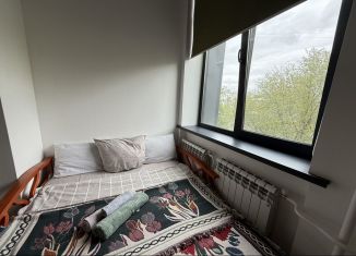 Сдам в аренду квартиру студию, 30 м2, Москва, 2-й Амбулаторный проезд, 8с3, САО
