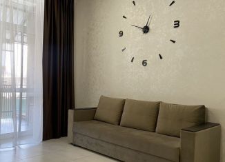 Сдается квартира студия, 38 м2, Республика Башкортостан, Курортная улица, 50/1