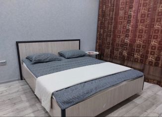 Сдаю квартиру студию, 27 м2, Октябрьский, улица Рахимьяна Насырова