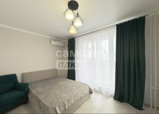 Аренда квартиры студии, 23.5 м2, Ростов-на-Дону, улица Ерёменко, 110/2с2, ЖК Пятый Элемент