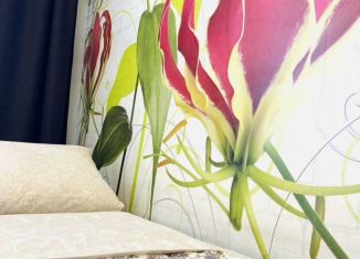 Сдам в аренду 1-комнатную квартиру, 42 м2, Омск, 2-я Военная улица, 19