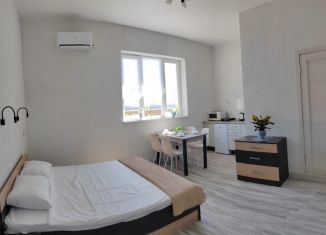 Аренда комнаты, 20 м2, село Витино, Айрчинская улица, 42