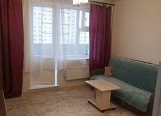 Квартира в аренду студия, 22 м2, Новосибирская область, улица Фадеева, 66/5