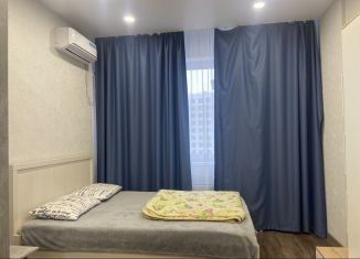 Сдаю в аренду однокомнатную квартиру, 42 м2, Воронеж, Краснознамённая улица, 57/5