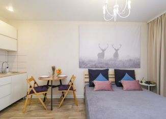 Сдается в аренду квартира студия, 26 м2, Новосибирская область, улица Забалуева, 102