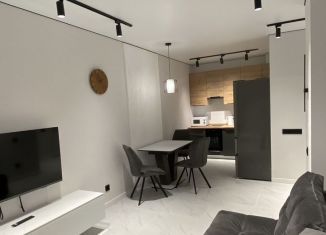Сдается в аренду 1-ком. квартира, 41 м2, Нижний Новгород, улица Героя Советского Союза Аристархова, 5, метро Горьковская