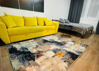 Сдается 1-комнатная квартира, 40 м2, Нижний Новгород, Окская улица, 2