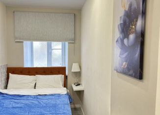 Сдача в аренду квартиры студии, 12 м2, Санкт-Петербург, Курляндская улица, 20, метро Балтийская