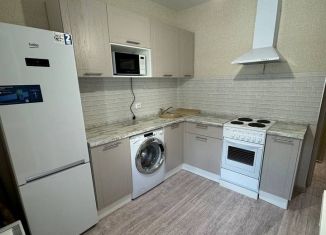 1-комнатная квартира в аренду, 38 м2, посёлок Берёзовый, улица имени Профессора Малигонова, 38