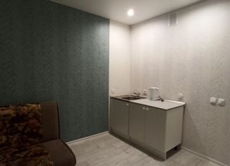 Квартира в аренду студия, 22 м2, Новосибирск, улица Одоевского, 1/10, метро Речной вокзал