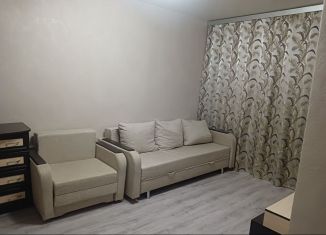 Сдается 1-комнатная квартира, 30 м2, Нижний Новгород, Норильская улица, 14
