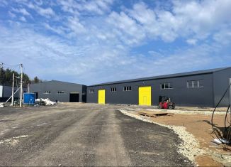 Сдам в аренду складское помещение, 756 м2, деревня Разбегаево, Стрельнинское шоссе, 1Б