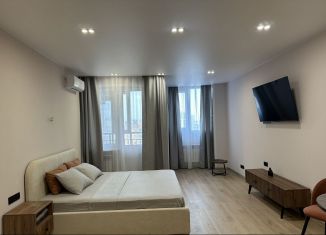 Сдается в аренду квартира студия, 40 м2, Новосибирск, Кавалерийская улица, 3/1, Заельцовский район