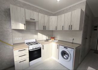 Сдается 1-комнатная квартира, 30 м2, Новороссийск, улица Видова, 165