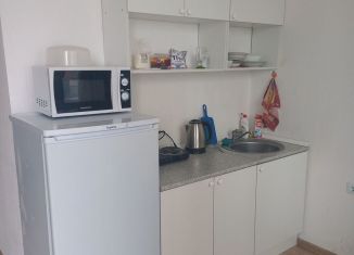 Сдача в аренду квартиры студии, 26 м2, Екатеринбург, улица Рябинина, 47