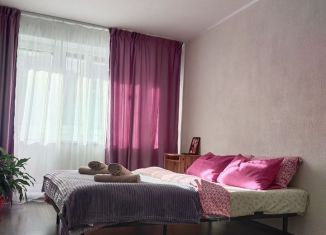 Сдается в аренду 2-ком. квартира, 56 м2, Ленинградская область, Заводская улица, 10