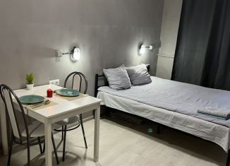 Аренда квартиры студии, 25 м2, Нижний Новгород, Московское шоссе, 83
