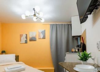Квартира в аренду студия, 10 м2, Санкт-Петербург, набережная реки Фонтанки, 189, метро Балтийская