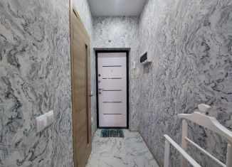 Сдается в аренду квартира студия, 21 м2, Сертолово, Центральная улица, 14к3